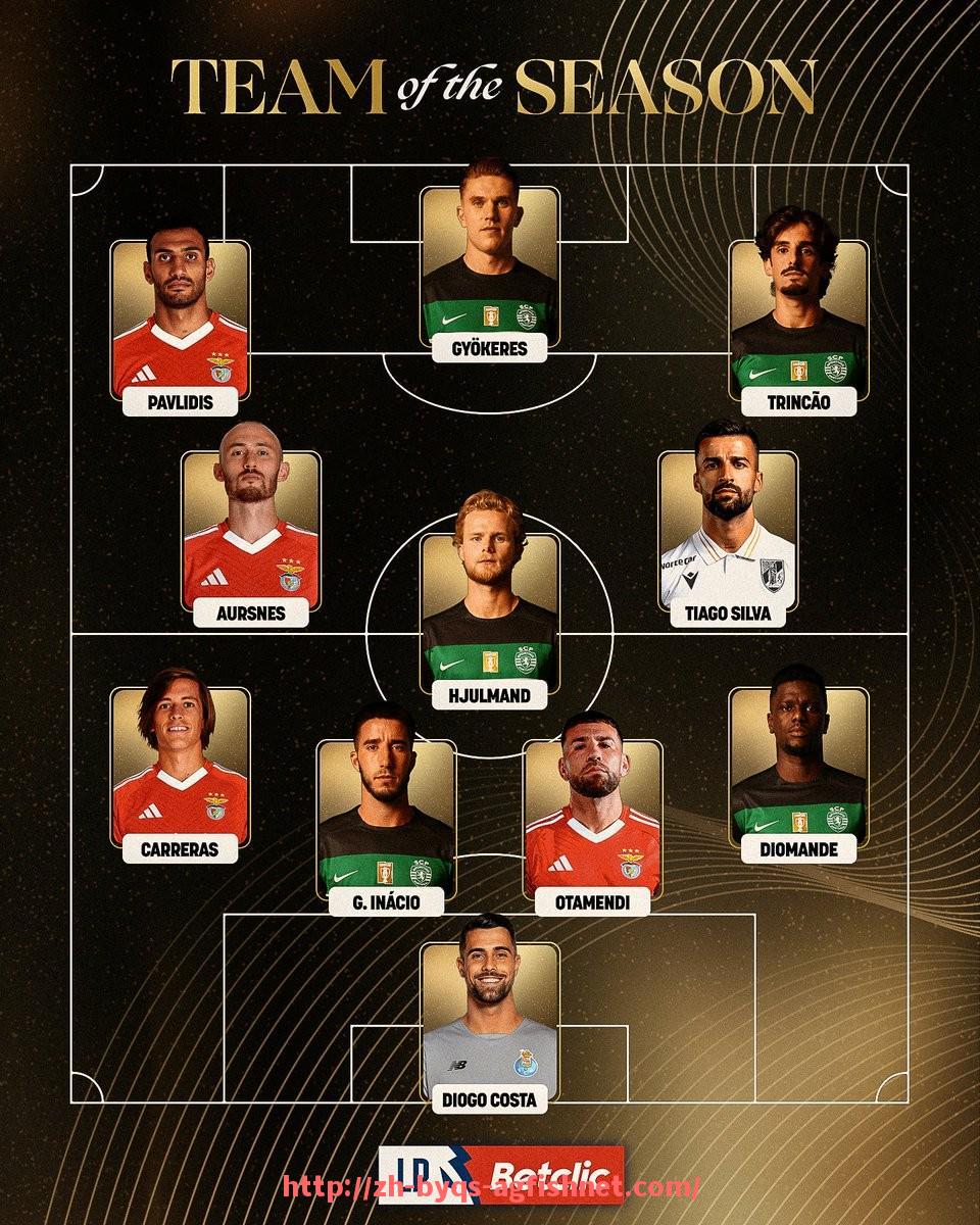 AG捕鱼王官网-世俱杯比赛场馆安排与国际赛事场地标准接轨探讨